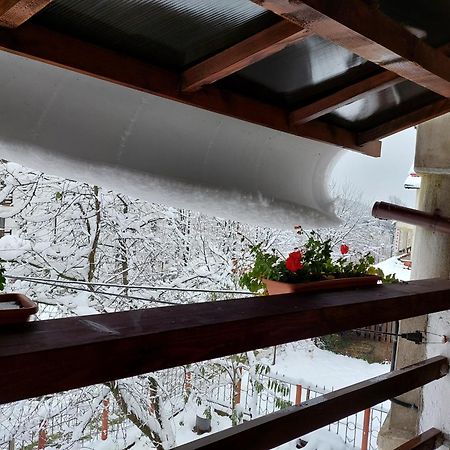 Holiday House Văliug Exteriér fotografie
