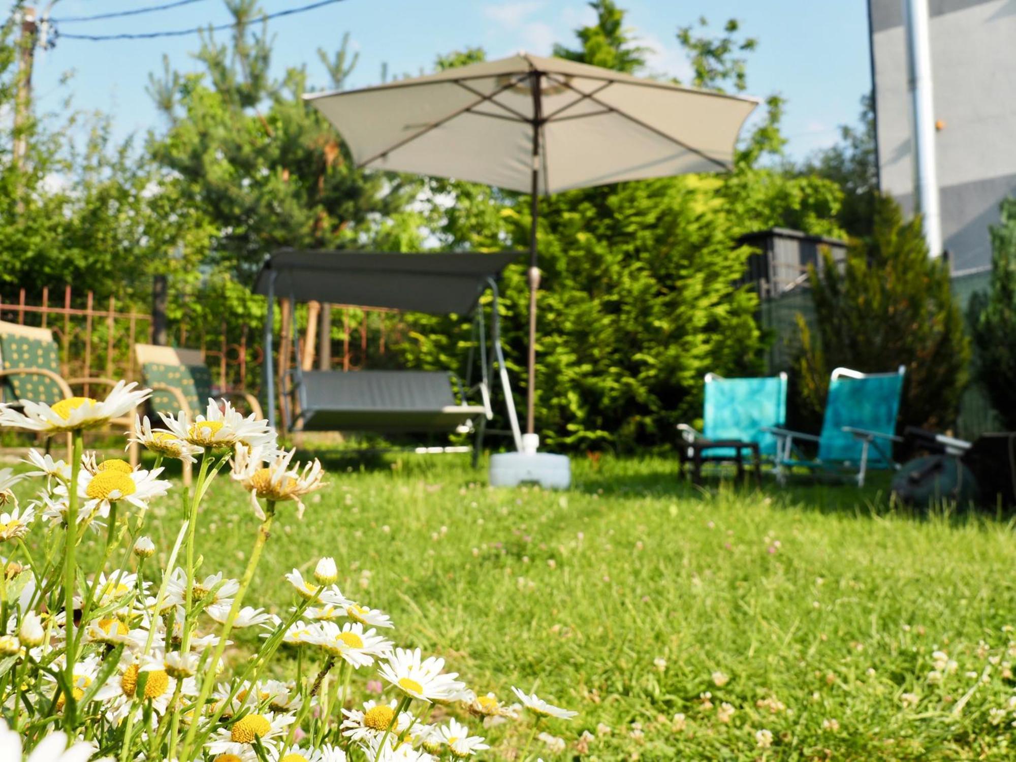 Holiday House Văliug Exteriér fotografie