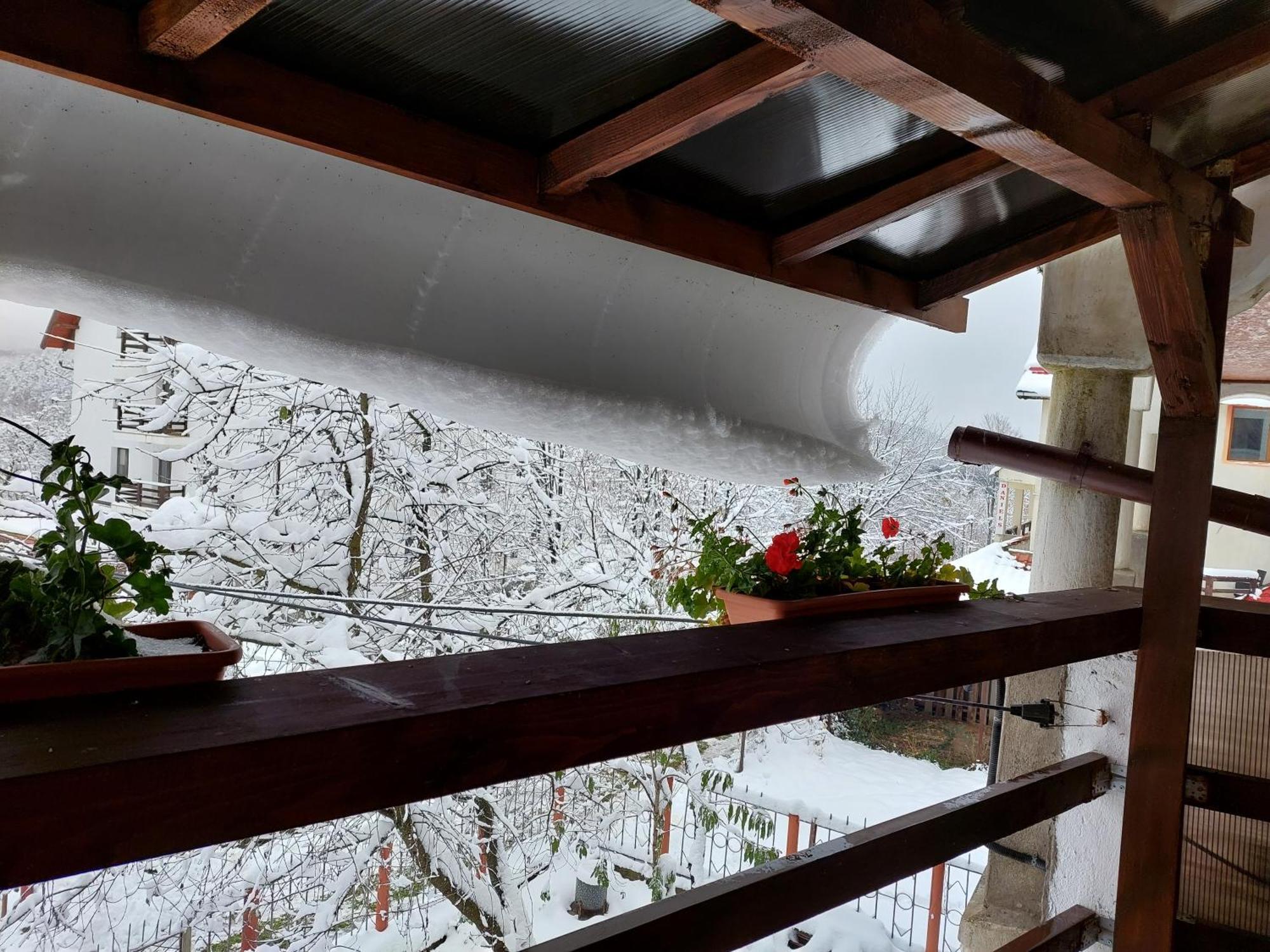 Holiday House Văliug Exteriér fotografie